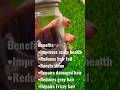 नारियल तेल + करी पत्ता रोस्टेड 🌿 | Hair Growth Oil | Grey Hair & Hair Fall Control#ytshort #haircare