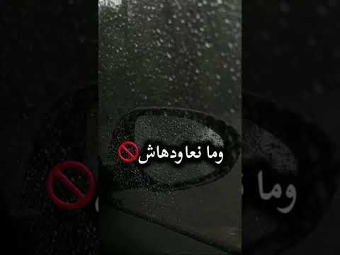 الذيب ذيب نيتو ديما مخدوعة
