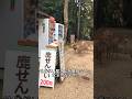 鹿せんべい売り場を襲わないのなぁぜなぁぜ?