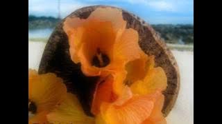 Dj Noiz   Ribbons OF Blue Remix