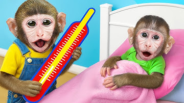 Monkey MoMo & Monkey Nana drives a tractor and become a doctor to take care of a sick baby monkey