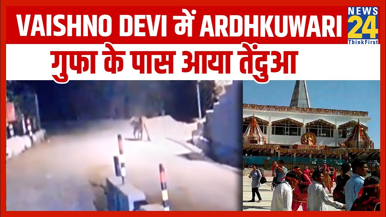 Vaishno Devi में Ardhkuwari गुफा के पास सड़क पर आया तेंदुआ || News24