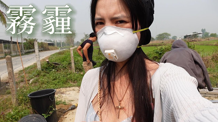 泰國每年有霧霾月，沒有呼吸的自由了。聊一聊我當年離開北京的原因。 - 天天要聞
