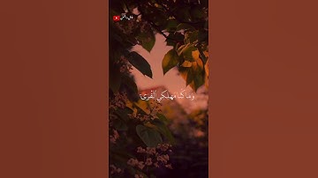 تلاوة خاشعة للشيخ ياسر الدوسري 🎧❤️‍🩹 #أرح_سمعك_وقلبك #اكسبلور #طمئن_قلبك #ياسر_الدوسري