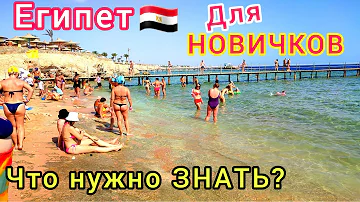 ВПЕРВЫЕ в ЕГИПТЕ 🇪🇬  Что нужно знать неопытному ТУРИСТУ. СЕКРЕТЫ шикарного отдыха и СОВЕТЫ новичкам