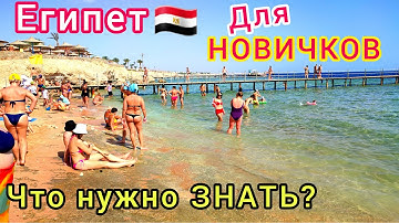 ПЕРВЫЙ РАЗ в ЕГИПТЕ 🇪🇬  Что нужно знать неопытному ТУРИСТУ. СОВЕТЫ новичкам