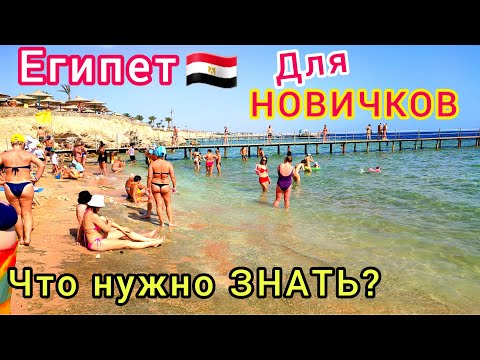 ВПЕРВЫЕ в ЕГИПТЕ ?? Что нужно знать неопытному ТУРИСТУ. СЕКРЕТЫ шикарного отдыха и СОВЕТЫ новичкам