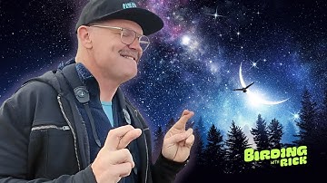 Can I Really Cuddle an Owl?