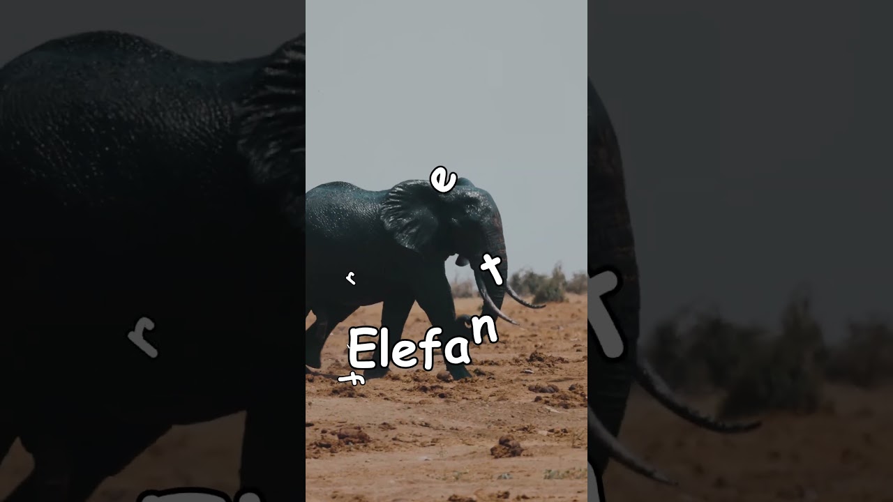 Miniatura de Top 3 animales más grandes del mundo