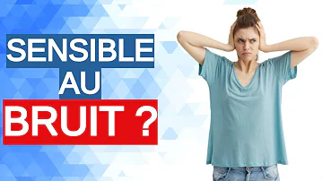 Comment s'appelle une personne qui ne supporte pas le bruit ?