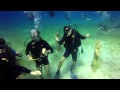 Discover Scuba Diving in Cyprus