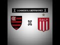 LIBERTADORES QUARTAS DE FINAL#edit #libertadores #futebol #loucosporfutebol