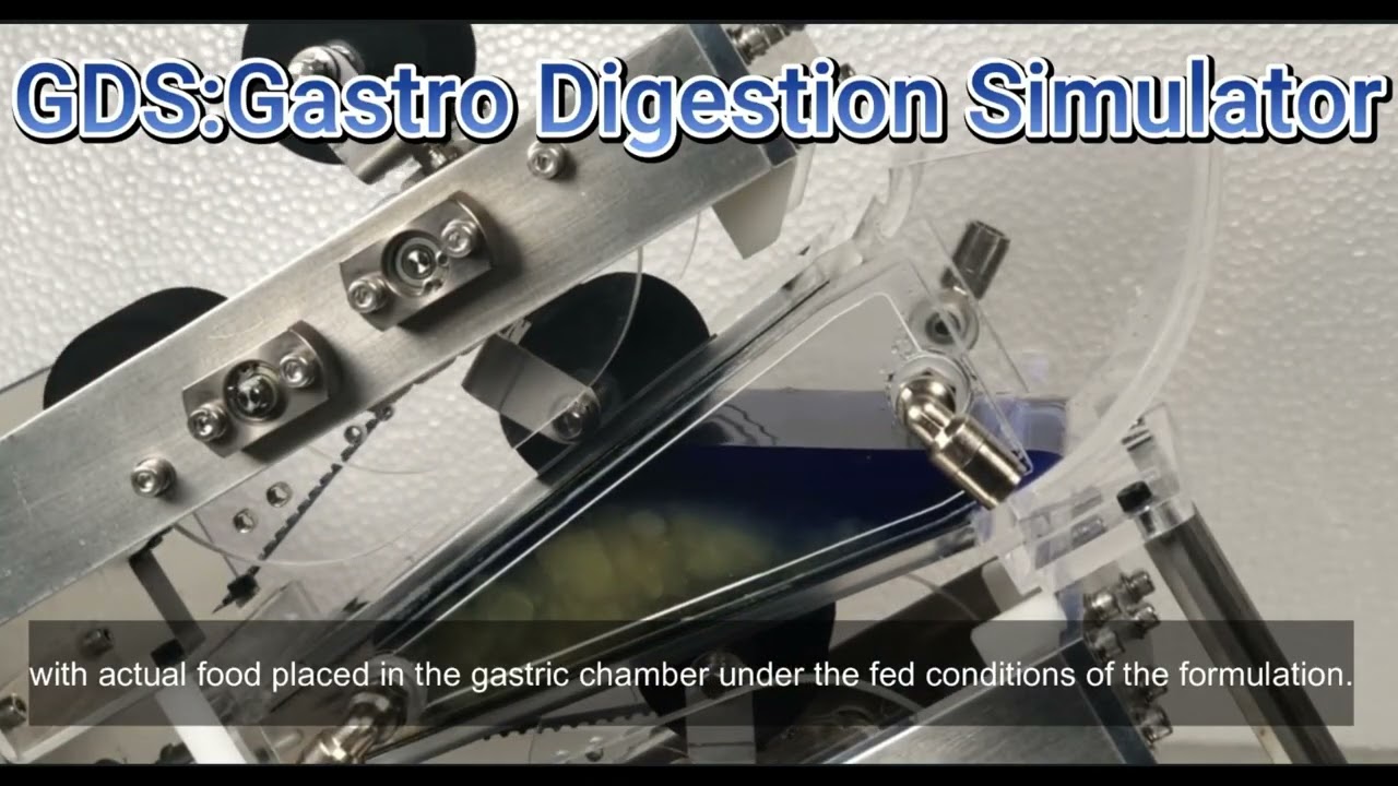GDS：Gastro Digestion Simulator with food