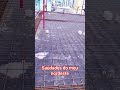 me dá uma vontade do meu nordeste dá#nordeste#short#trabalho