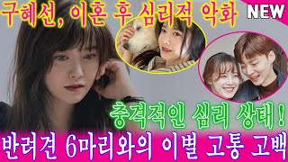 구혜선, 이혼 후 심리적 악화...충격적인 심리 상태! 반려견 6마리와의 이별 고통 고백