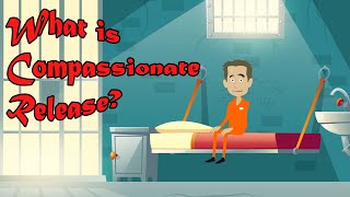 What is Compassionate Release?