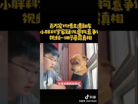 中國韭菜專用抖音 韭菜網紅針刺狗虐狗為樂 中國除了沒有人權 素質文化全球最低
