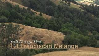 1 4 Franciscan Melange