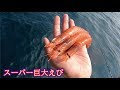 スーパーの巨大エビで大物が釣れるか検証したら！