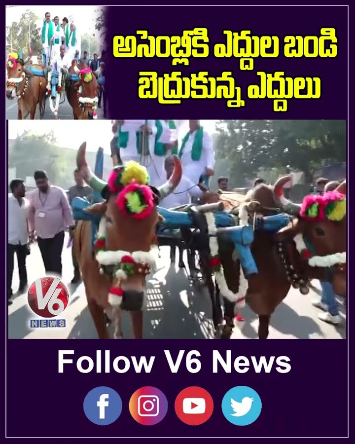 అసెంబ్లీకి ఎద్దుల బండి.. బెద్రుకున్న ఎద్దులు | BJP MLAs Came To Assembly On Bullock Cart | V6 News