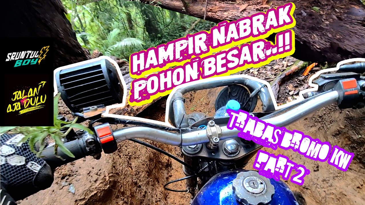 Perjuangan semakin sulit di track Bromo KW ‼️(Gunung Guntur part 2)