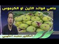ماهي فوائد التين او الكرموس الددكتور محمد احليمي 