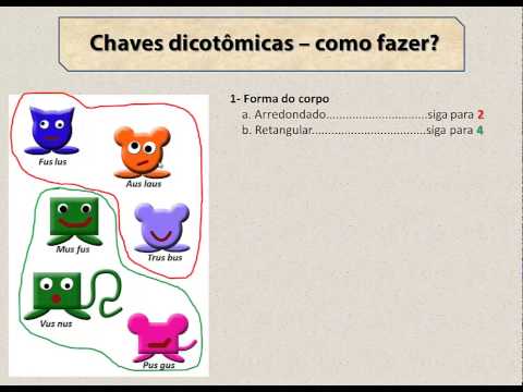 Vídeo: A chave dicotômica é útil para os cientistas?