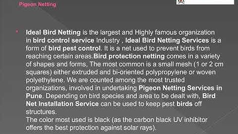 Pigeon Netting Services in Kothrud,Balewadi,Pimpri,Wakad,Warje,Karvenagar,Kodwa,Pune