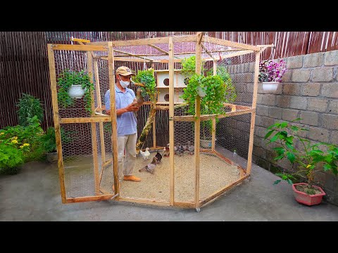 Make cheap bird cage for my wife | Complete guide | Bird cage designs