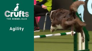 Agility  Championship  Intermediate/Large (Agility) Part Two | Crufts 2023