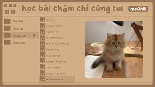 [Playlist] Speed Up Chạy Deadline #04: Nhìn em anh bối rối, anh thua rồi tim em lắm lối