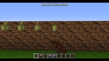 EASY SEMI-AUTOMATIC COCOA BEAN FARM IN 1.8!!!!