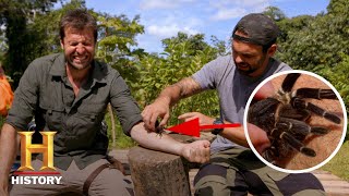 BIT BY WORLD'S LARGEST TARANTULA! | Kings of Pain (Season 1) | History