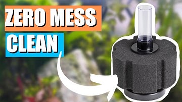 No Mess Sponge Filter Cleaning - Easiest Method!