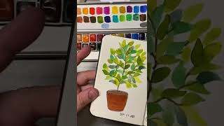 Look in my pocket sketchbook