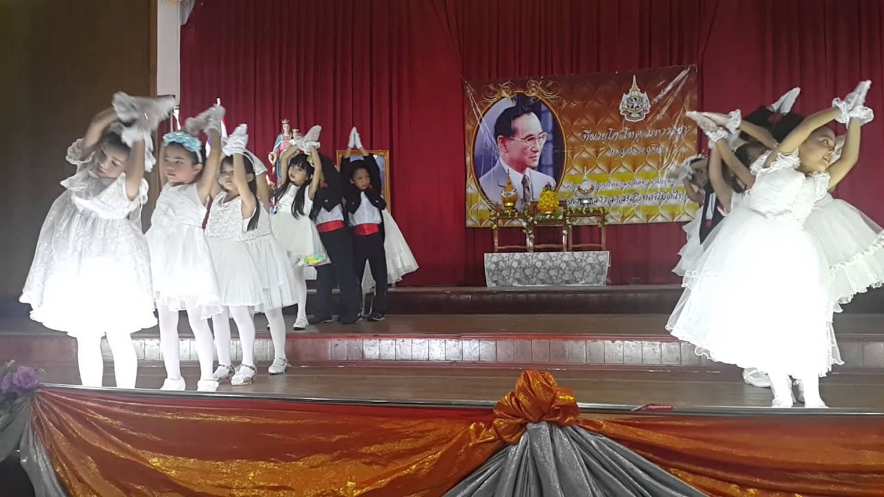 Show เพลง ต้นไม้ ของพ่อ