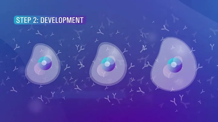 Biosimilars: Rigorous approval process