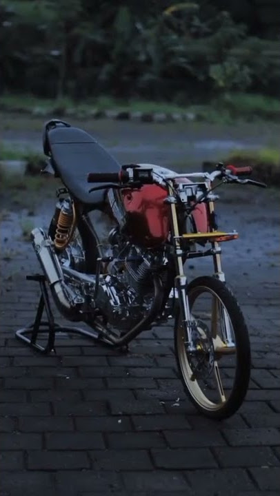 story'wa herex tiger merah trondol 30 detik
