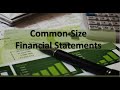 Financial Analysis: Common Size Financial Statements Example