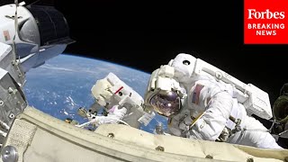 SpaceX Crew-1 Astronauts Answer Questions About Their Historic Mission