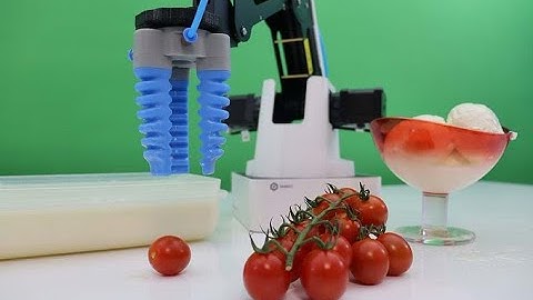 Dobot Magician with Softgripping Application Cases