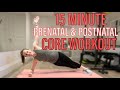 15 Minute Prenatal &amp; Postnatal CORE Workout | Diastasis Recti SAFE | All Trimesters of Pregnancy