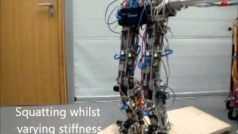 BLUE: A Bipedal Robot with Variable Stiffness and Damping