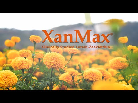 XanMax® - Clinically
