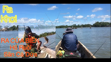 Câu ngay cửa biển| Đi săn cá dứa cửa Biển Vàm Đầm-Cà Mau| SEA fishing