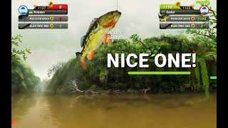 Fishing Clash 3D Sport Game @ Fish Duel | Amazon River | Sadat vs Kabakc | Winning Duel | Nice One! screenshot 5