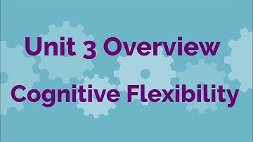 SMARTS Classic Executive Function Curriculum Unit 3 Overview