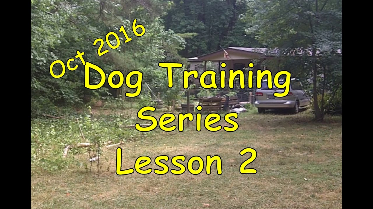 Dog Training Lesson 2 YouTube