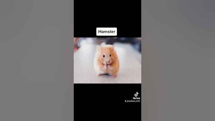 piores formas que os animais morreram (parte 2)
