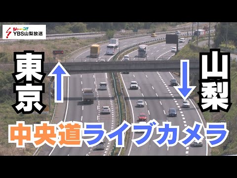 ライブ配信 DQz2pGc0XJE